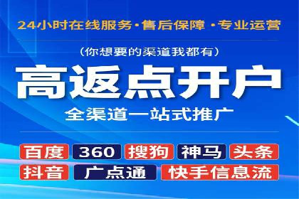 百度SEO推广策略深度解读：某企业网络营销的胜利之路